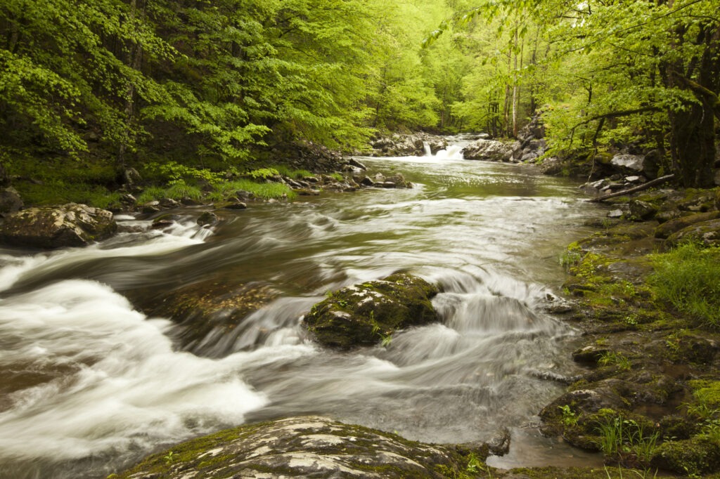 Rushing Water of Middle Fork River in the Spring.