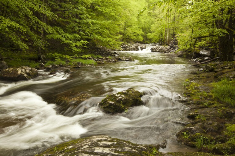 Rushing Water of Middle Fork River in the Spring.
